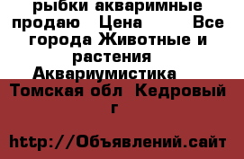 рыбки акваримные продаю › Цена ­ 30 - Все города Животные и растения » Аквариумистика   . Томская обл.,Кедровый г.